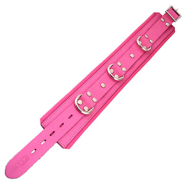 Rouge Garments Pink Padded Collar